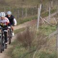 IMG 4762